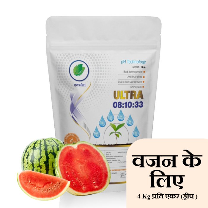 Whatsapp post exsol (5)